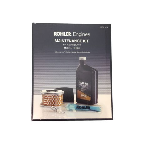 KIT MANTENIMIENTO FILTROS KOHLER SH265
