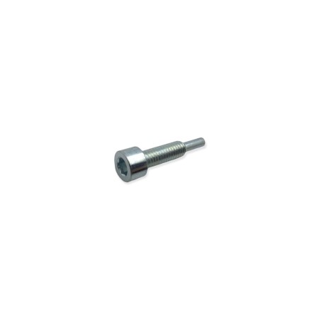 Tornillo fijacion bomba inyectora Lombardini LDW 1603, 2204