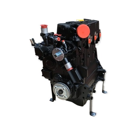 Motor Lombardini LDW 1603 Reconstruït