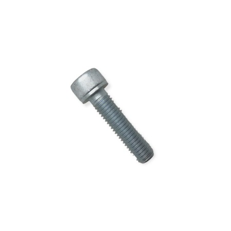 Cargol motor arrencada Lombardini LDW M10x40